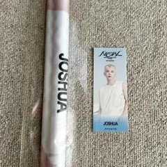 SEVENTEEN セブチ NEW ジョシュア わなげ タペストリー ステッカー