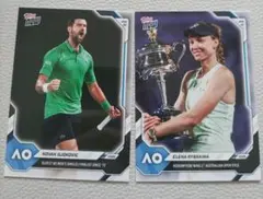 Item thumbnail for item 9f0fe724-832d-4527-bcf7-e4968e883f3d