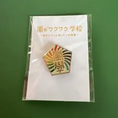 【中古】嵐のワクワク学校2012 ～毎日がもっと輝く5つの授業～ ピンバッジ 嵐のワクワク学校2012 ~毎日がもっと輝く5つの授業~ ピンバッジ - メルカリ
