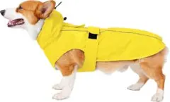 Item thumbnail for item 2787131c-b392-43bc-b954-fc1b428edfa5