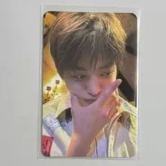 cortis コルティス target限定 アメリカUS ターゲット ゴンホ