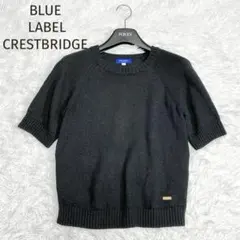 ★ブルーレーベル クレストブリッジ★現行 マーセライズコットンプルオーバー 38