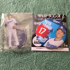 柳裕也 中日ドラゴンズ　どらポジ応援！缶バッジくじ ミニアクスタ 缶バッジセット