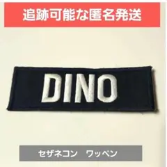 2026年最新】SEVENTEEN ディノ ワッペンの人気アイテム - メルカリ
