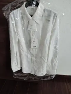 Item thumbnail for item c29e7af2-b876-4ead-af4f-da64665d3442