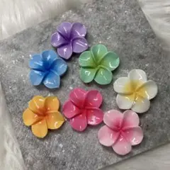 ななみ様