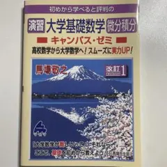 演習 大学基礎数学 微分積分キャンパス・ゼミ 改訂1