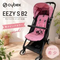 サイベックス EEZY S B2 希少ピンクカラーのサムネイル