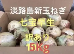七宝早生♦︎秀品3Lサイズ10Kg ♦︎淡路島新玉ねぎ たまねぎ 玉葱