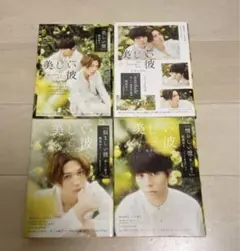 美しい彼　小説　4巻セット