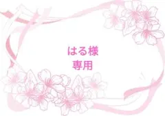 はる様 リクエスト 2点 まとめ商品