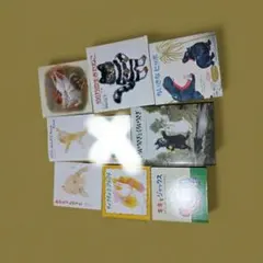 Item thumbnail for item db20cd53-ac0c-43ad-b31b-cd8935fbe196