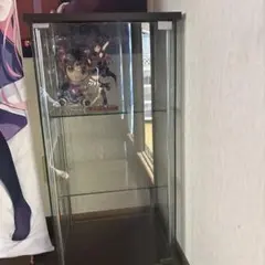 フィギュアショーケース 引き取り限定（中身は入りません）