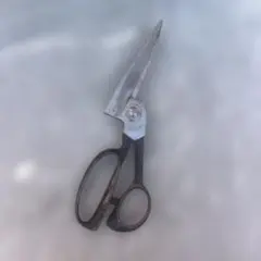 Item thumbnail for item 23b4f0d1-5823-4e0d-8894-2965cd9e726c