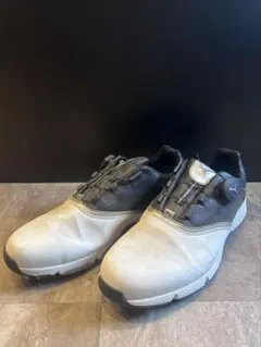 Item thumbnail for item cebc1304-4cd3-44ae-a094-b5fd8b4eefec