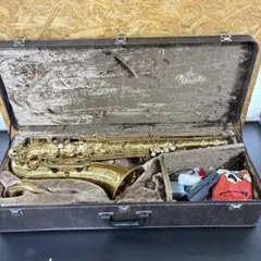 2025年最新】ヤナギサワサックスケースの人気アイテム - メルカリ