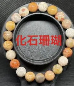 2025年最新】菊目石の人気アイテム - メルカリ