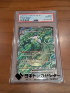 2026年最新】ジャローダ psa10の人気アイテム - メルカリ