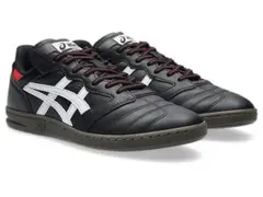 ASICS SKATEBOARDING/LEGGEREZZA FB