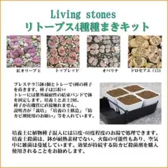 リトープス 4種 種まきキット プレステラ75鉢　Ａのサムネイル