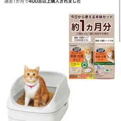 Item thumbnail for item 275d1f61-9942-4def-863b-51ebbd18ebbd