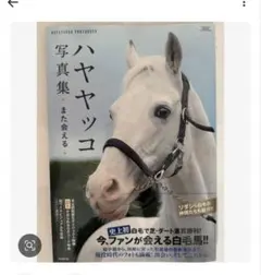 白の時間 : 名馬オグリキャップ引退後二十年の日々 : 内藤律子写真集