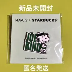 スタバ　スヌーピー　ピンバッジ　海外限定　2点 スタバ スヌーピー ピンバッジ 海外限定 2点 スタバ スヌーピー