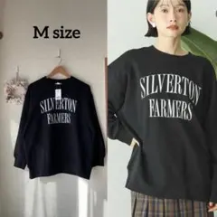 AMERICAN HOLIC★アソートカレッジロゴ裏毛プルオーバー★M★新品