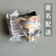 straykids skzoo サウナフィギュア ガチャガチャ アイエン