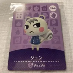 2025年最新】amiiboカード ジュンの人気アイテム - メルカリ