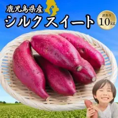 山梨県産　スウィート光黄　新鮮朝採り　EM栽培　3kg箱 山梨県産 スウィート光黄 新鮮朝採り EM栽培 3kg箱 - メルカリ