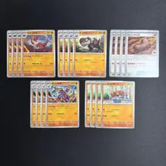 ガチゴラス　ガメノデス　進化ライン　古びたアゴの化石