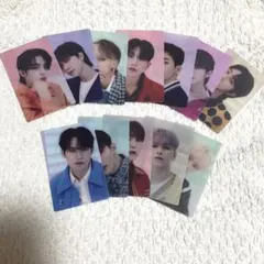 SEVENTEEN FOLLOW PET PHOTO CARD SET 12枚