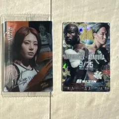 Item thumbnail for item f1983b14-c6d7-4d0b-981e-610a8d4483ac