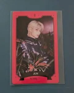 SEVENTEEN ジュン トレカ シーグリ