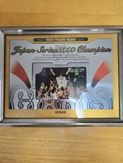 2026年最新】ジャイアンツ 2000年 優勝 限定の人気アイテム - メルカリ