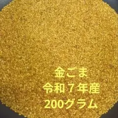北海道産 玉ねぎ 苗 無農薬 100本③ 晩生品種 北もみじ2000 - メルカリ