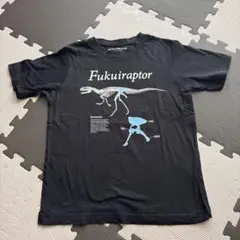 福井県立恐竜博物館 Fukuiraptor Tシャツ 150のサムネイル