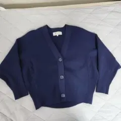 Item thumbnail for item c56053e2-b12e-409b-b49c-cb8b19b6ce1b