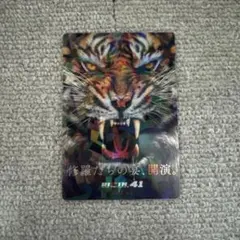 RIZIN ポテトスティック RIZIN.41