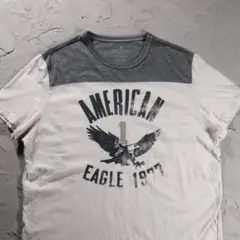 AMERICAN EAGLE OUTFITTERS Tシャツ イーグル