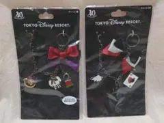 ディズニーハロウィン ヴィランズチャーム
