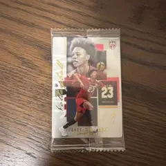 エバデダン・ラリー バレーボール日本代表 トレーディングカード
