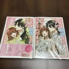 はなちゃん様 リクエスト 2点 まとめ商品