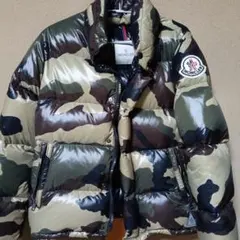 Item thumbnail for item 4f5b89ae-19ef-49d5-b4be-4e993ea4dc43