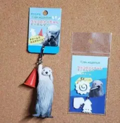 トバスイ 鳥羽水族館 ラッコ メイちゃん キーホルダー 専用チャーム 2個セット