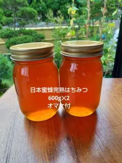 高知県産⭐︎蜂蜜⭐︎濃厚⭐︎日本ミツバチ⭐︎1200g - メルカリ