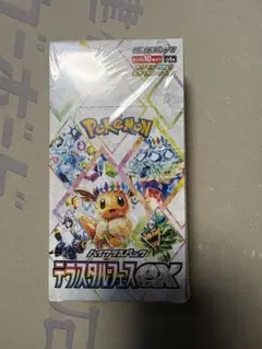 2026年最新】POKEMON テラスタルフェスの人気アイテム - メルカリ