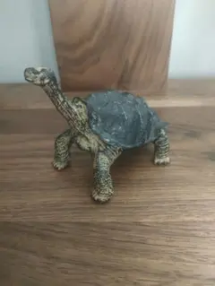 Item thumbnail for item e1b99cc3-27f4-425a-be8a-2fbb988fe540