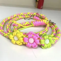 パラコード•*¨*•.¸♬︎カフェリード